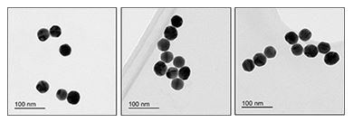 40nm Gold Nanoparticles (10 OD)(AB269930)