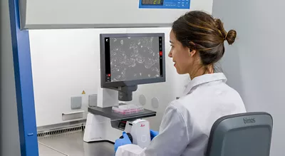 Mateo Hood N 2e7d94c5b8