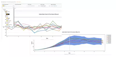 Batch Monitoring