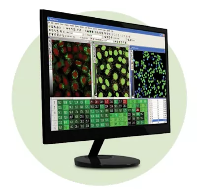 Molecular Devices Imagexpress Nano High Content Image2