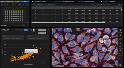 Molecular Device Pico Analysis Software