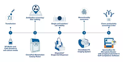 Single Cell Cloning 1