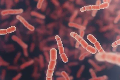 12. Antimicrobial Coating Of M320 Reduces Pathogenes On Surfaces E.G.Streptococcus Pneumonia Red Cells