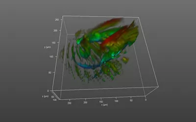 3D Vizualisation 91 Kid21754308