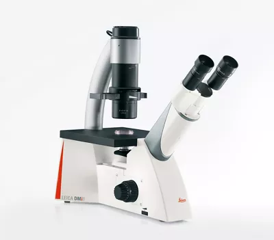 DMi1 21 Poster RGB HR Kid21757689