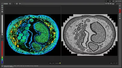 The power of LAS X in advanced life science research
