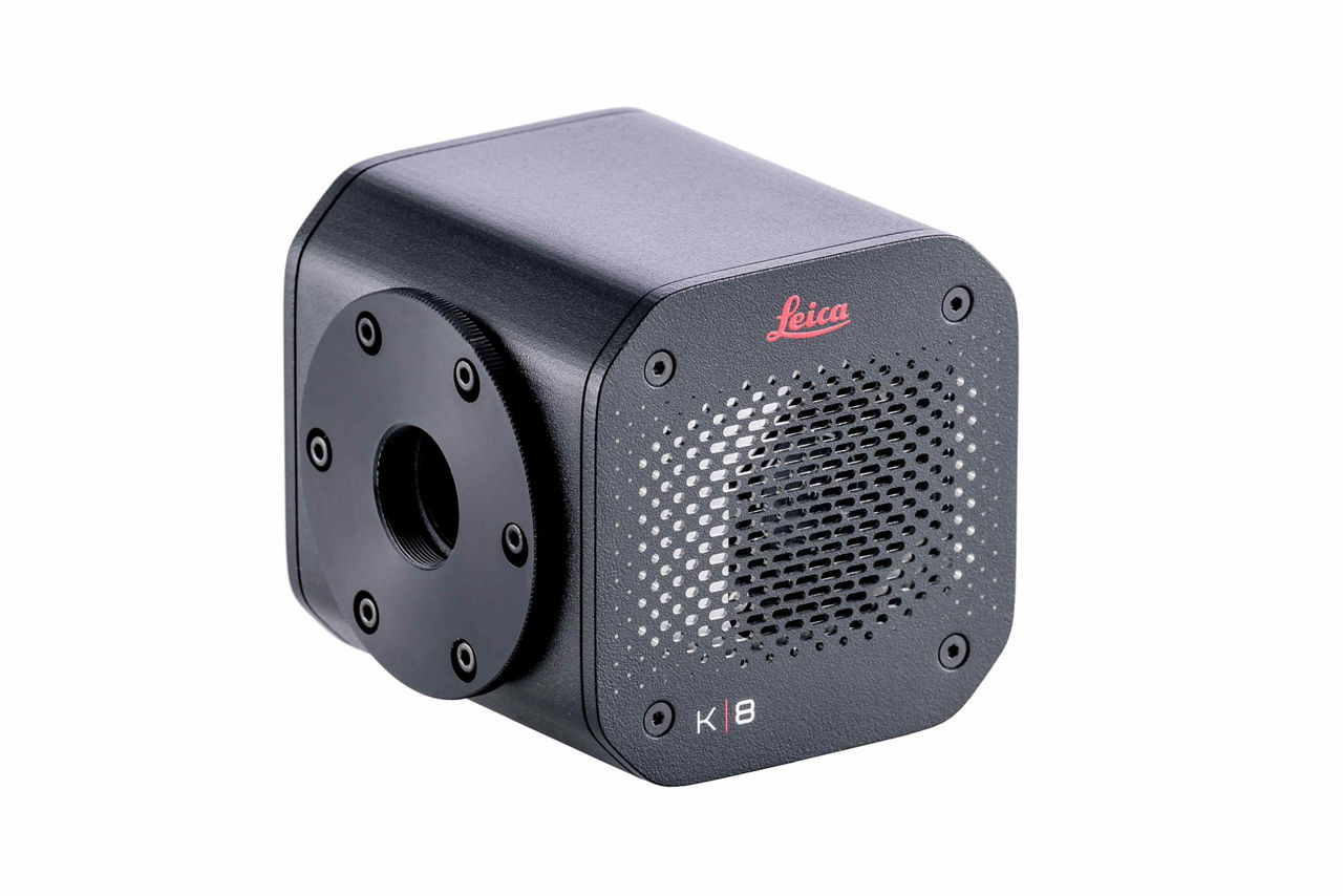 K8 Scientific CMOS Camera