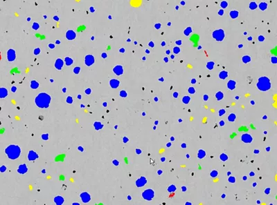 LAS X Cast Iron Expert Software: Structural analysis of nodular/ductile or compacted cast iron 