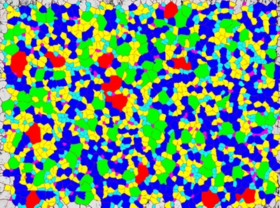 LAS X Grain Expert Software: Superior accuracy and reproducibility in grain analysis