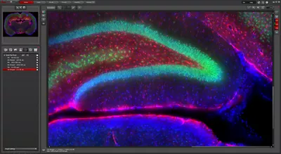Your pathfinder in image analysis