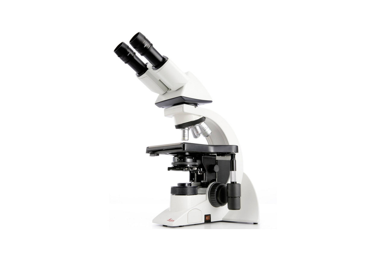 DM1000 LED Ergonomic system microscope