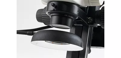 Diffuse light