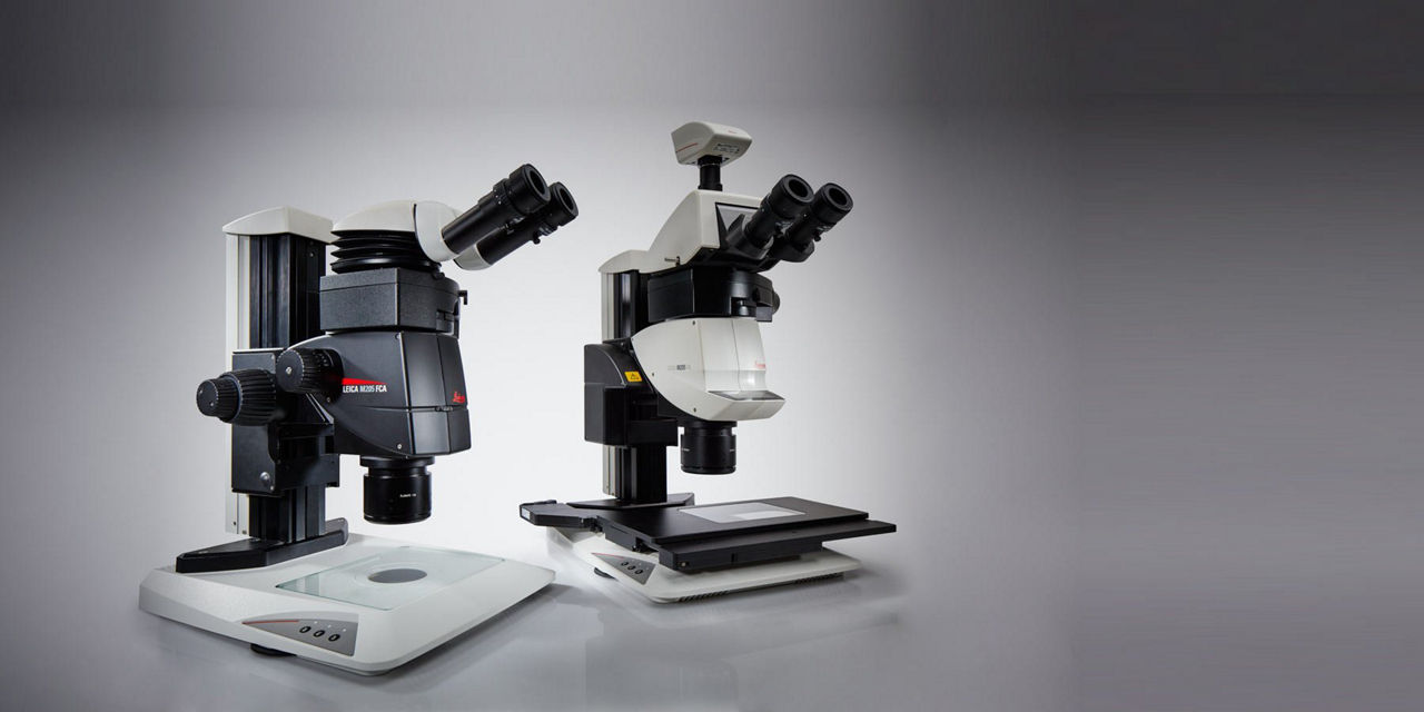 Leica M205 FCA & Leica M205 FA Fluorescence stereo microscopes