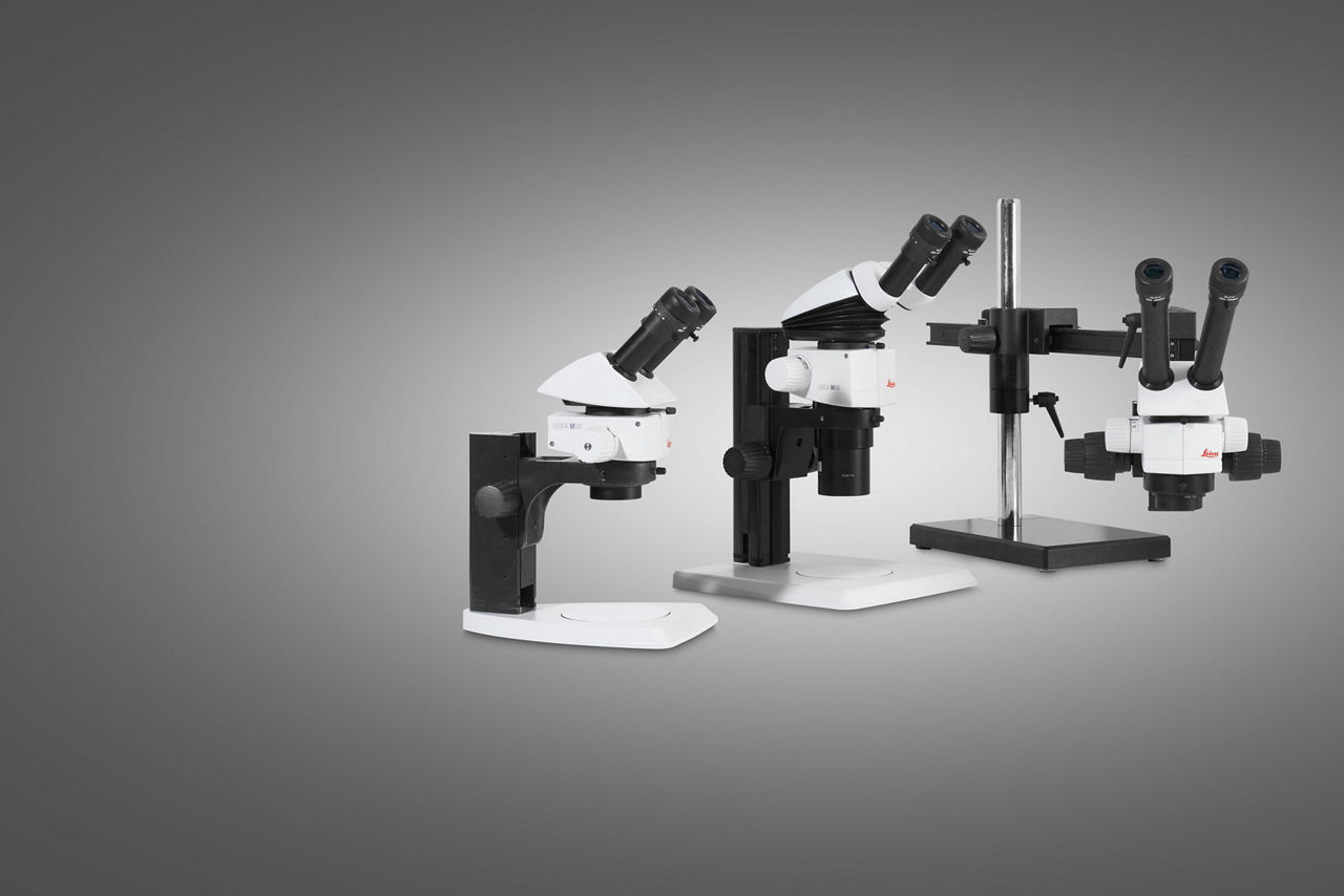 M50, M60 & M80 Routine stereo microscopes