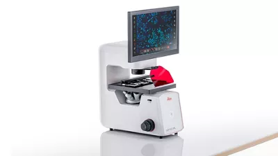 Mateo FL Digital Fluorescence Left View Kid21767645