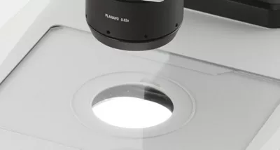 Powerful Illumination 01 Kid21768710