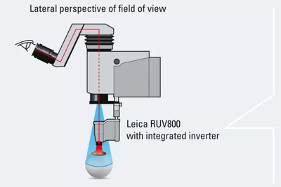 RUV800 Graphic Lateral 10 Kid21769086