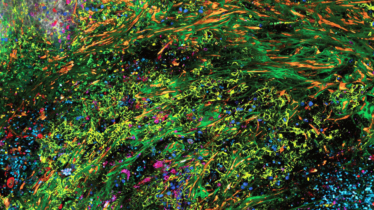 SpectraPlex for Spatial Biology