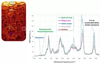 Spectroscopy 02 Kid21774823