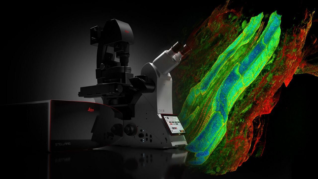 Next Generation STELLARIS Confocal Microscope