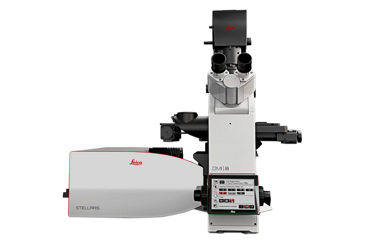 Microscopio confocal personal STELLARIS