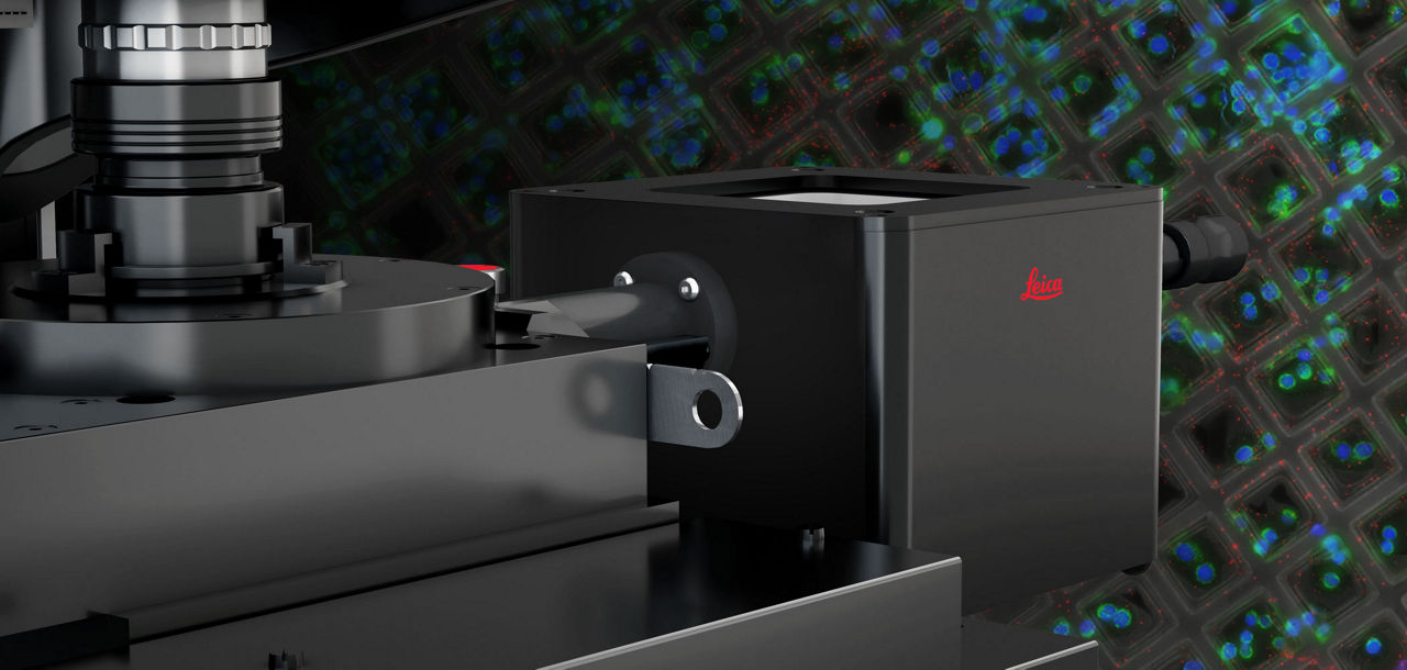 STELLARIS Cryo Confocal Microscope