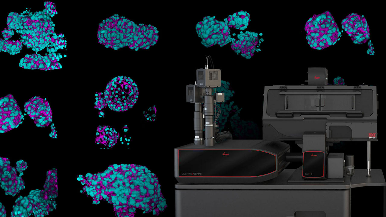Viventis SCAPE Single Objective Light Sheet Microscope