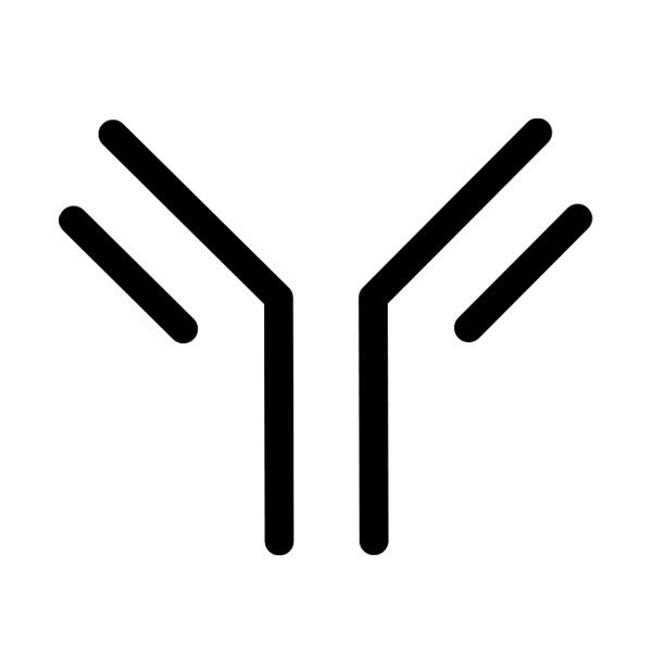 View Alternatives