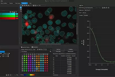 Effortless data exploration for deeper insights