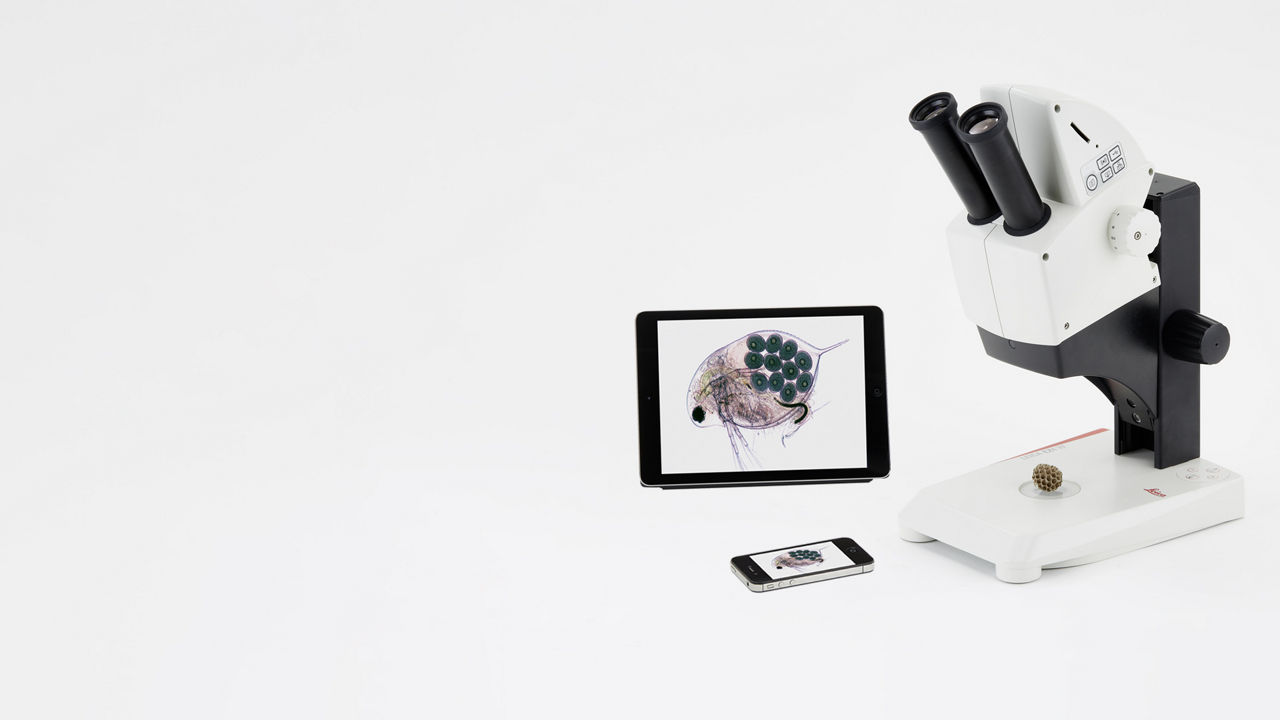EZ4 W & EZ4 E Educational stereo microscopes for college & university