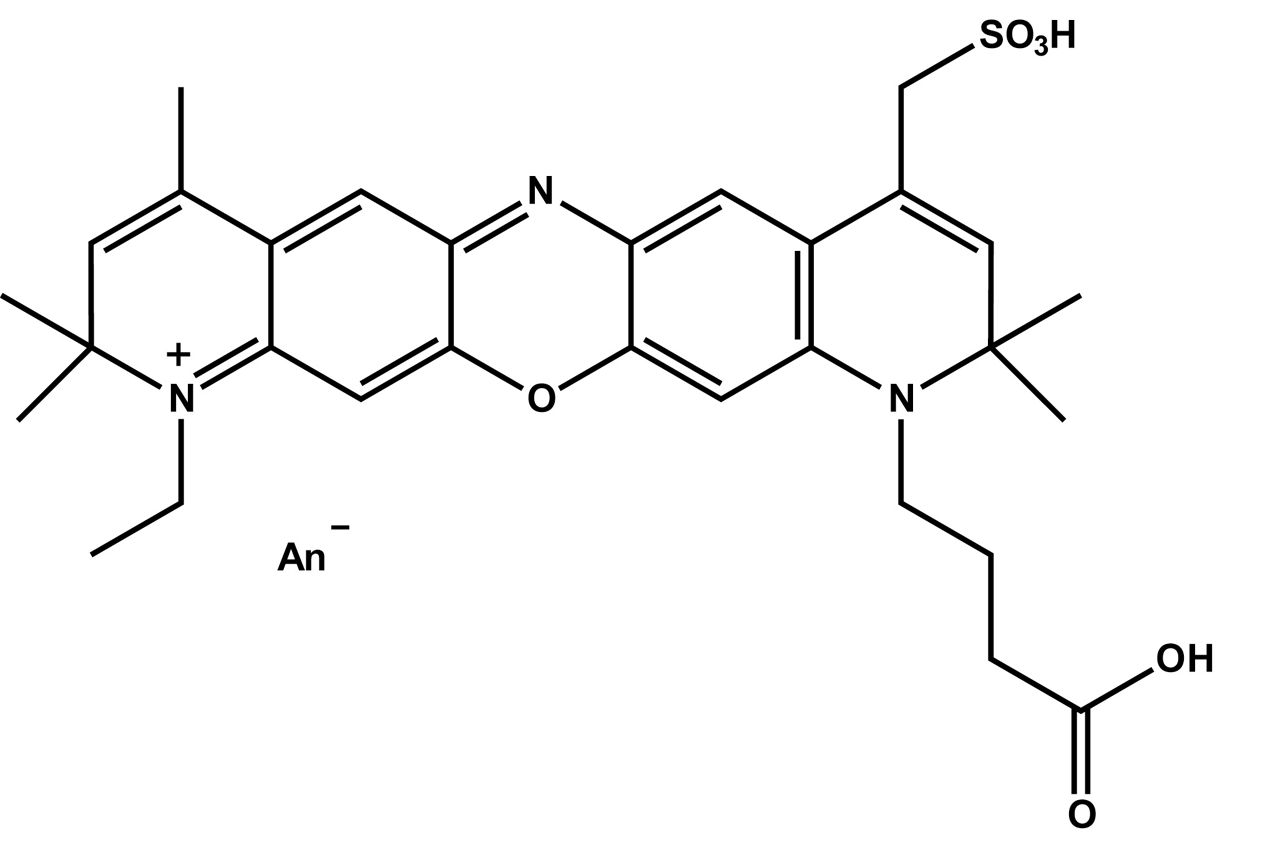 ATTO 700 NHS-ester Fluorescent Label 1 mg