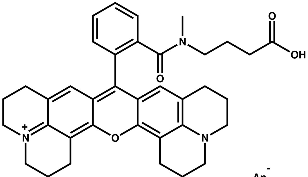 ATTO Rho101
