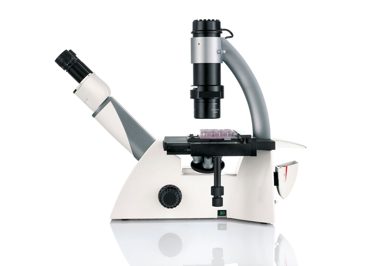 DMi1 for Core Cell Culture