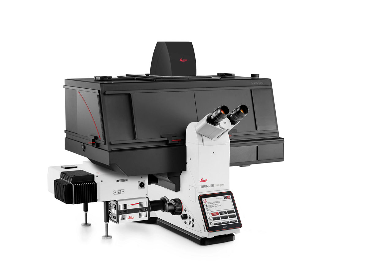 DMi8 S Platform ライブセル顕微鏡 | 製品紹介 | Leica Microsystems