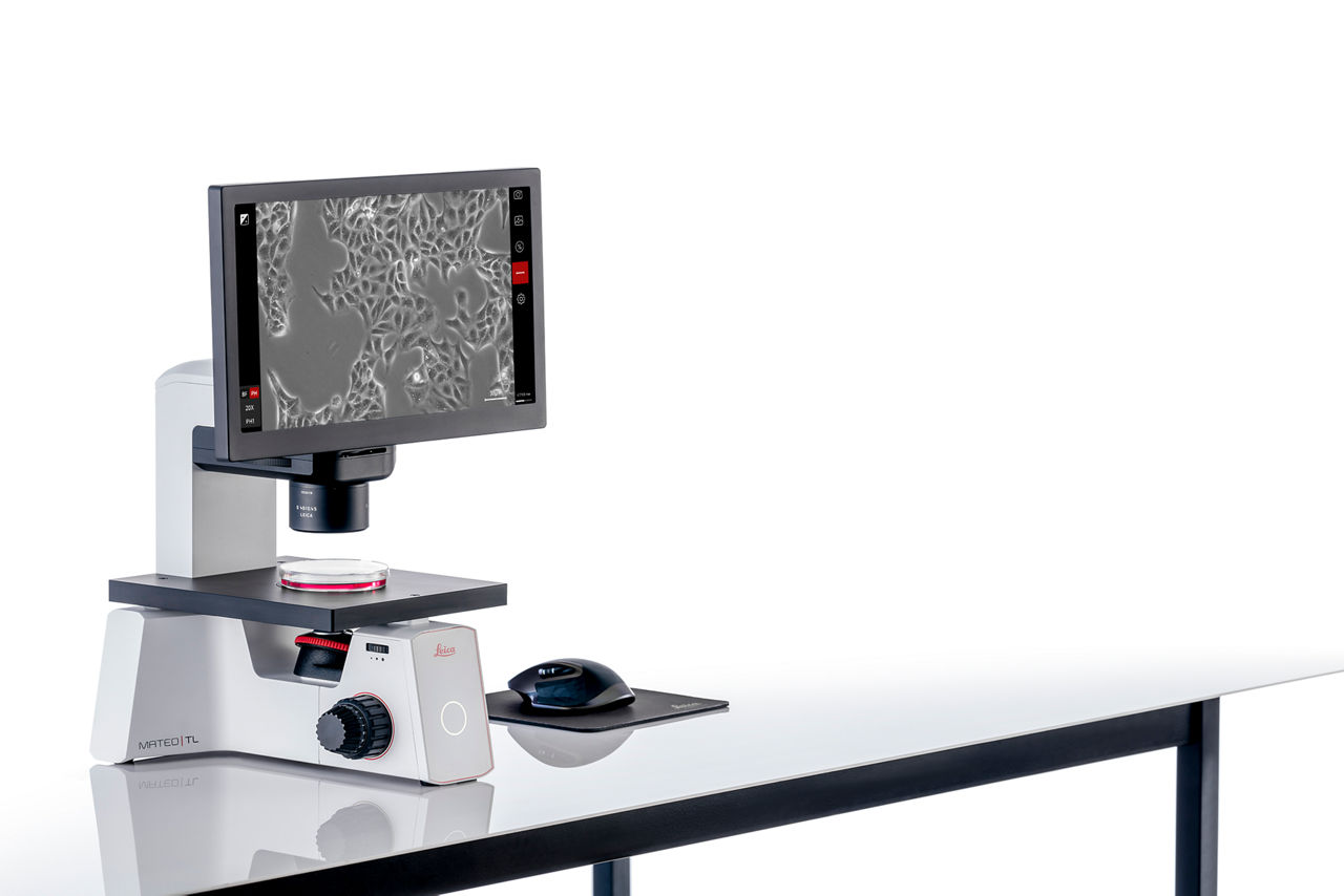 Mateo TL for Easy Confluency Checks