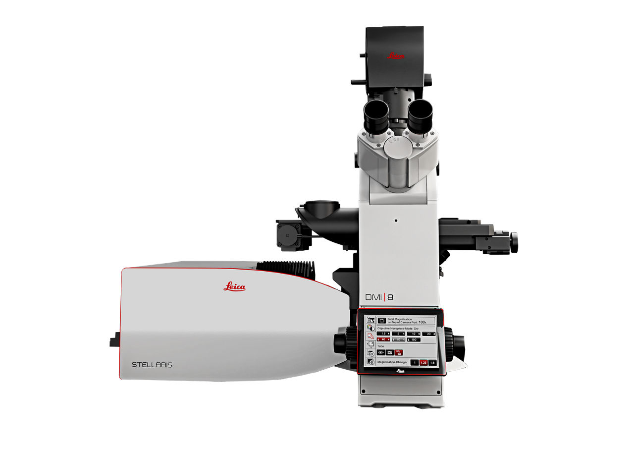 Microscopio confocale personale STELLARIS - Media | Prodotti | Leica ...