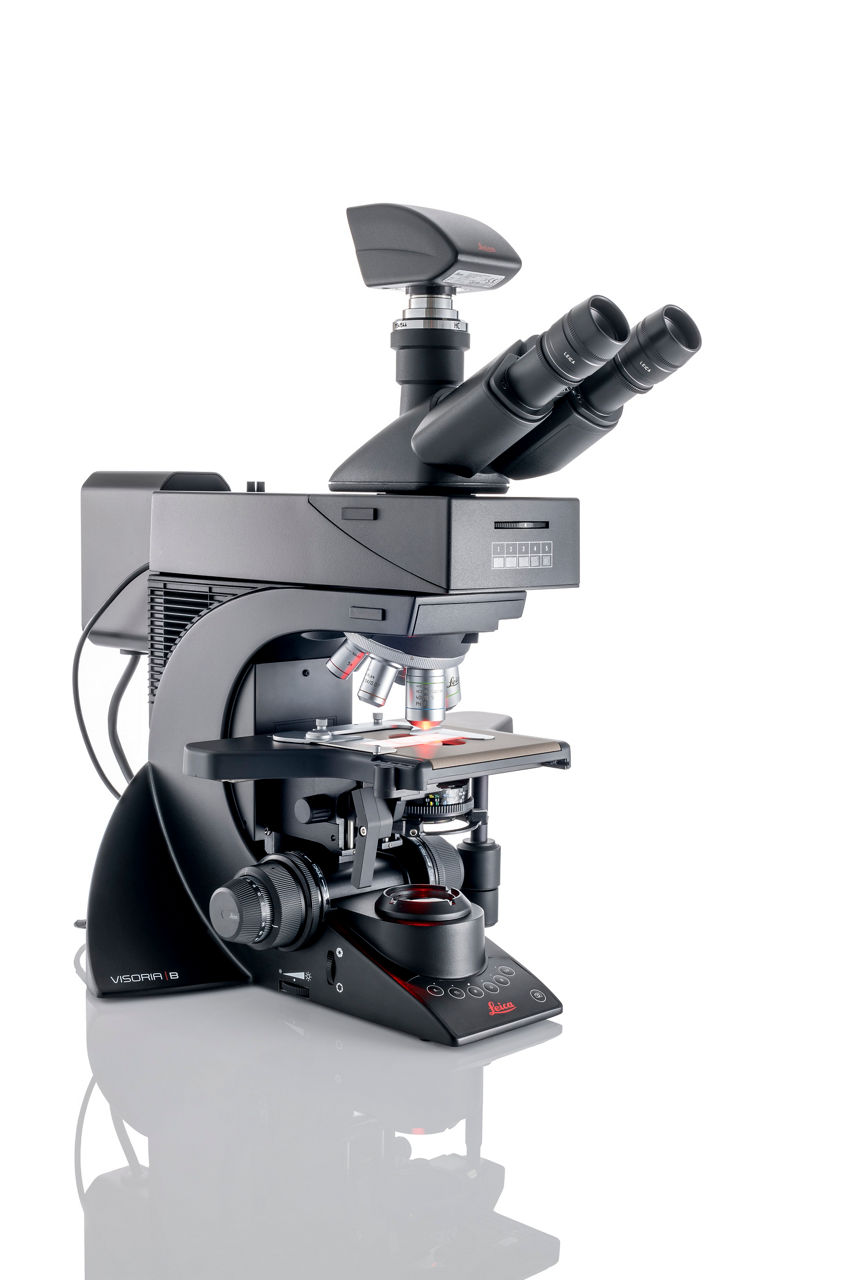 Visoria B Laboratory Microscope for Immunofluorescence