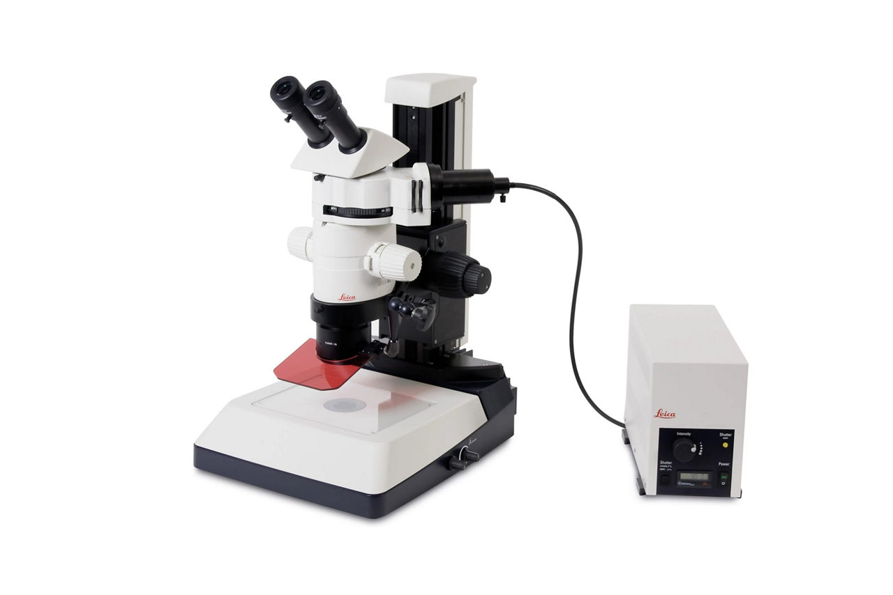 MZ10F for Fluorescence Sorting