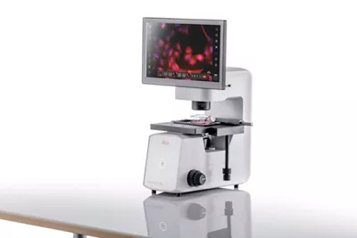 Leica Microsystems Mateo Fl Image2