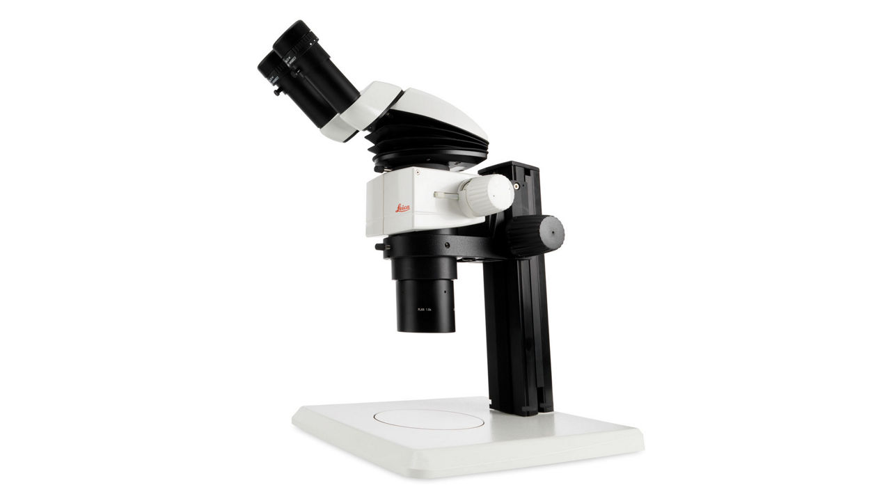 M80 Ergonomic Stereomicroscope for Inspection