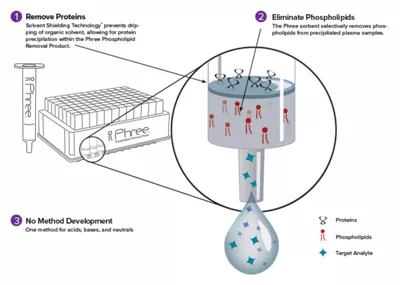 Phenomenex Phree Phospholipid Removal Products Phree HowItworks Image4